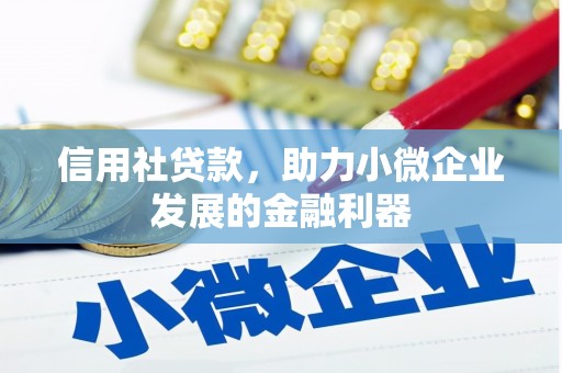 肃北信用社贷款，助力小微企业发展的金融利器