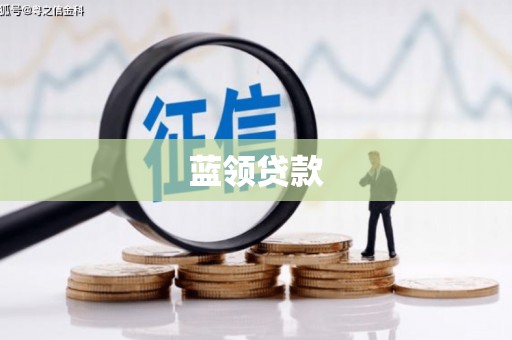 肃北蓝领贷款