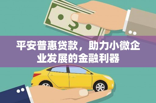 肃北平安普惠贷款，助力小微企业发展的金融利器
