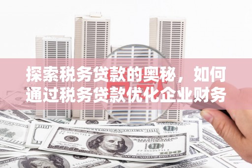 肃北探索税务贷款的奥秘，如何通过税务贷款优化企业财务