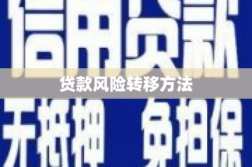 肃北贷款风险转移方法