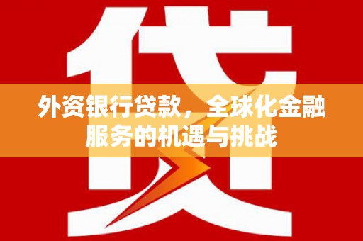 肃北外资银行贷款，全球化金融服务的机遇与挑战