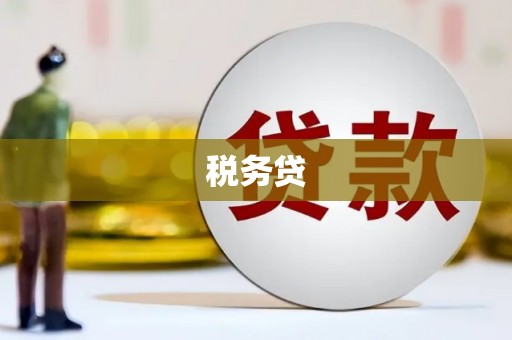 肃北税务贷