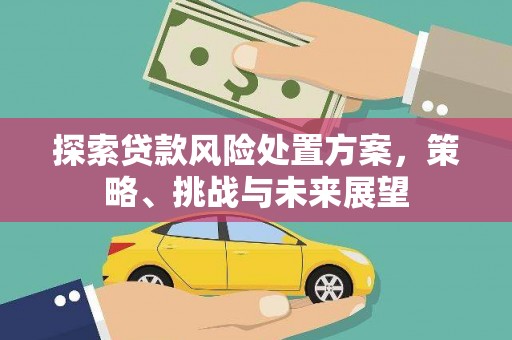 肃北探索贷款风险处置方案，策略、挑战与未来展望