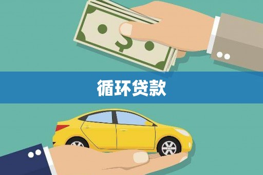 肃北循环贷款