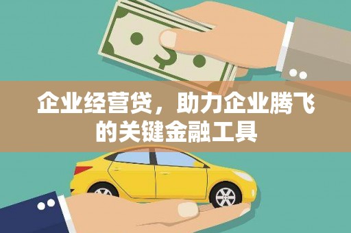 肃北企业经营贷，助力企业腾飞的关键金融工具