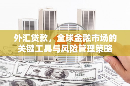 肃北外汇贷款，全球金融市场的关键工具与风险管理策略