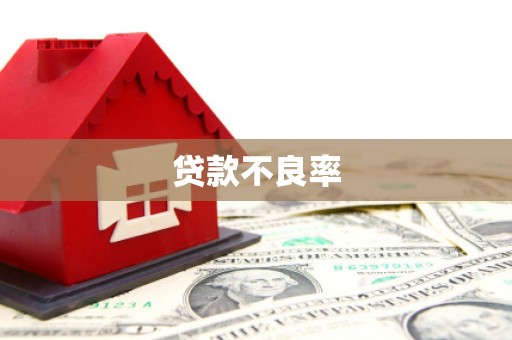 肃北贷款不良率