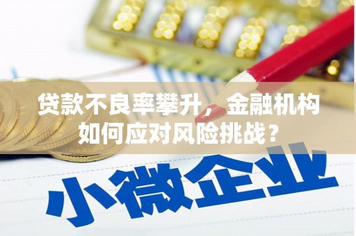 肃北贷款不良率攀升，金融机构如何应对风险挑战？