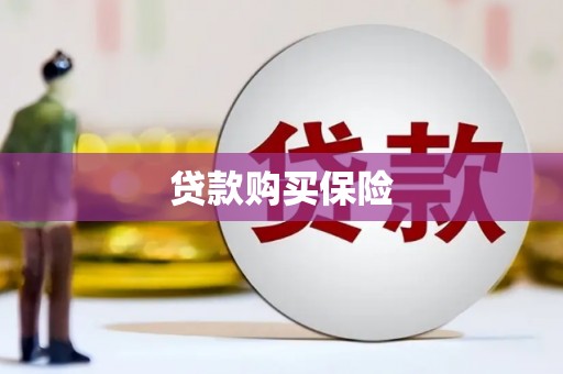 肃北贷款购买保险