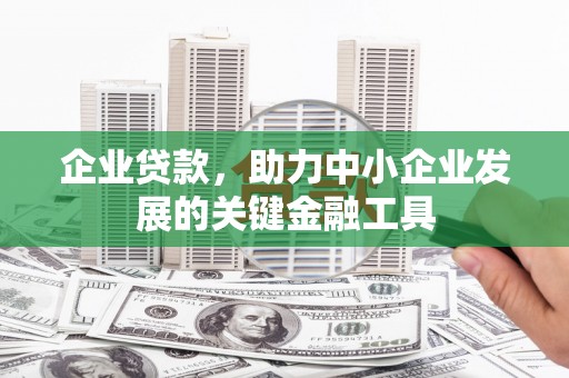 肃北企业贷款，助力中小企业发展的关键金融工具