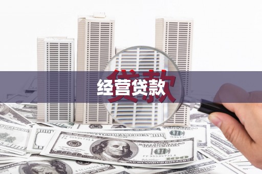 肃北经营贷款