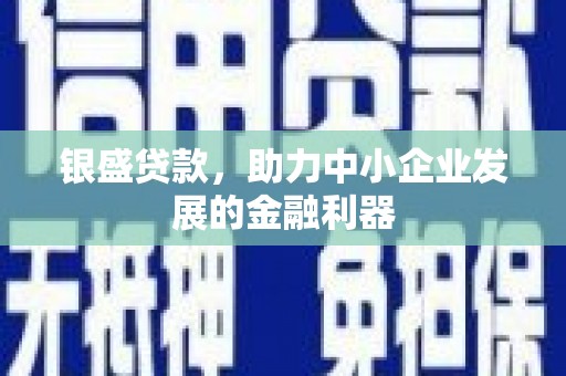 肃北银盛贷款，助力中小企业发展的金融利器