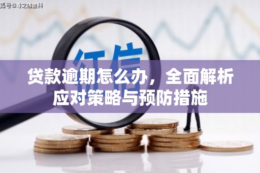 肃北贷款逾期怎么办，全面解析应对策略与预防措施