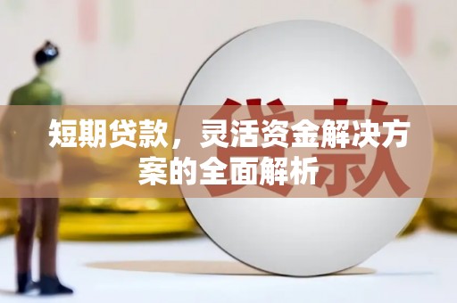 肃北短期贷款，灵活资金解决方案的全面解析