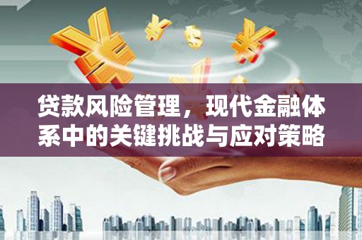 肃北贷款风险管理，现代金融体系中的关键挑战与应对策略