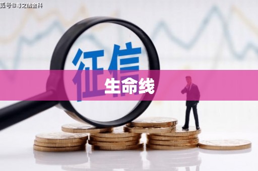 肃北生命线