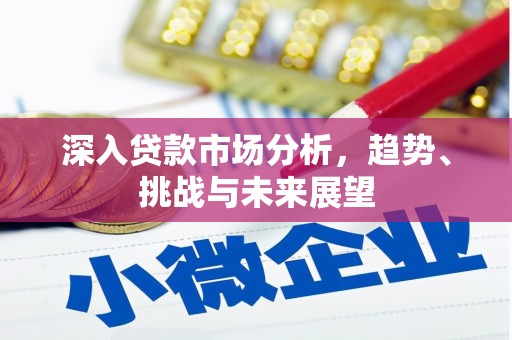 肃北深入贷款市场分析，趋势、挑战与未来展望