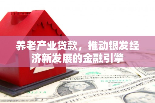肃北养老产业贷款，推动银发经济新发展的金融引擎