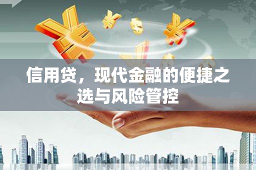肃北信用贷，现代金融的便捷之选与风险管控