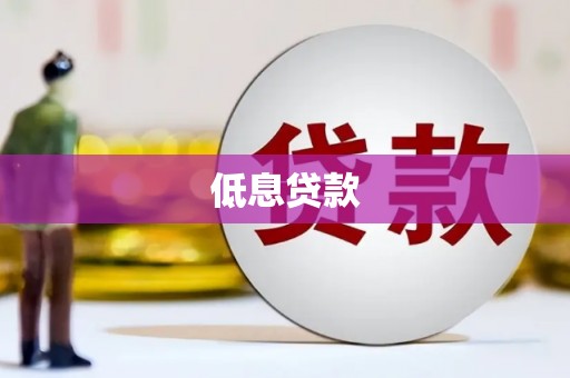 肃北低息贷款