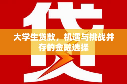 肃北大学生贷款，机遇与挑战并存的金融选择