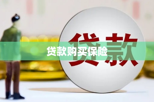 肃北贷款购买保险