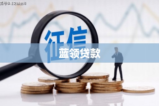 肃北蓝领贷款