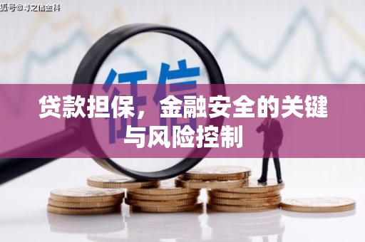 肃北贷款担保，金融安全的关键与风险控制