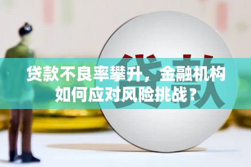 肃北贷款不良率攀升，金融机构如何应对风险挑战？