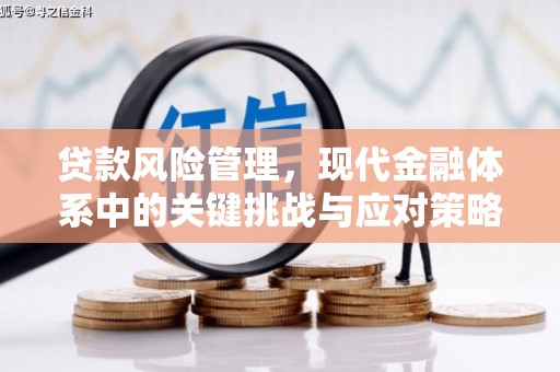 肃北贷款风险管理，现代金融体系中的关键挑战与应对策略