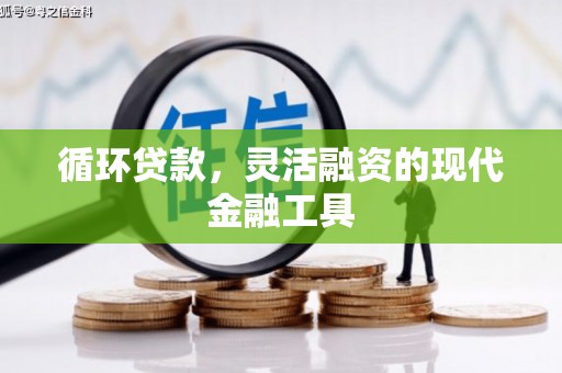 肃北循环贷款，灵活融资的现代金融工具