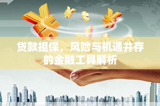 肃北贷款担保，风险与机遇并存的金融工具解析
